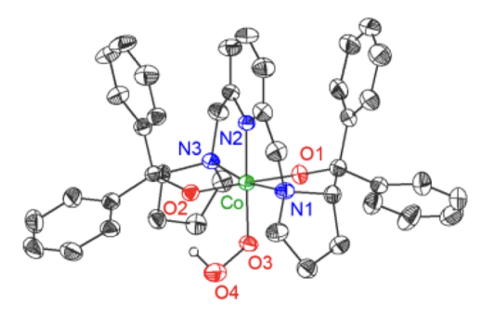 Co(BDPP)(OOH) complex